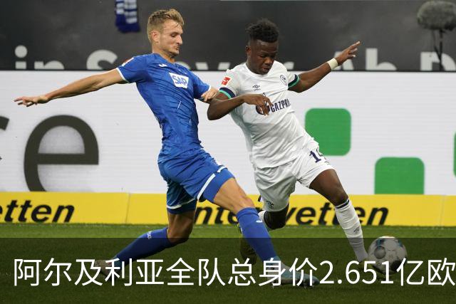 阿尔及利亚全队总身价2.651亿欧，26名球员中马扎的4500万欧最高